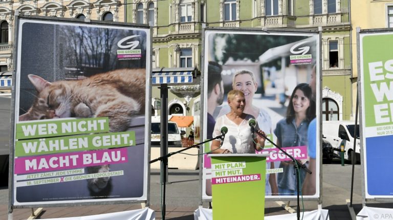 Grüne treten mit Katze gegen Blau an