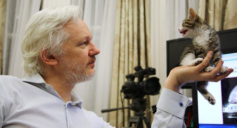 Assange verweigert sich nun doch den USA