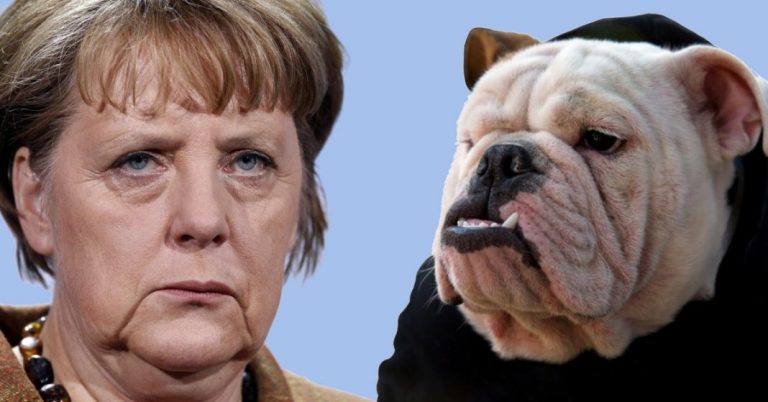 Germany RIP: Angela Merkel, die H**e von Washington, zerstört Deutschland