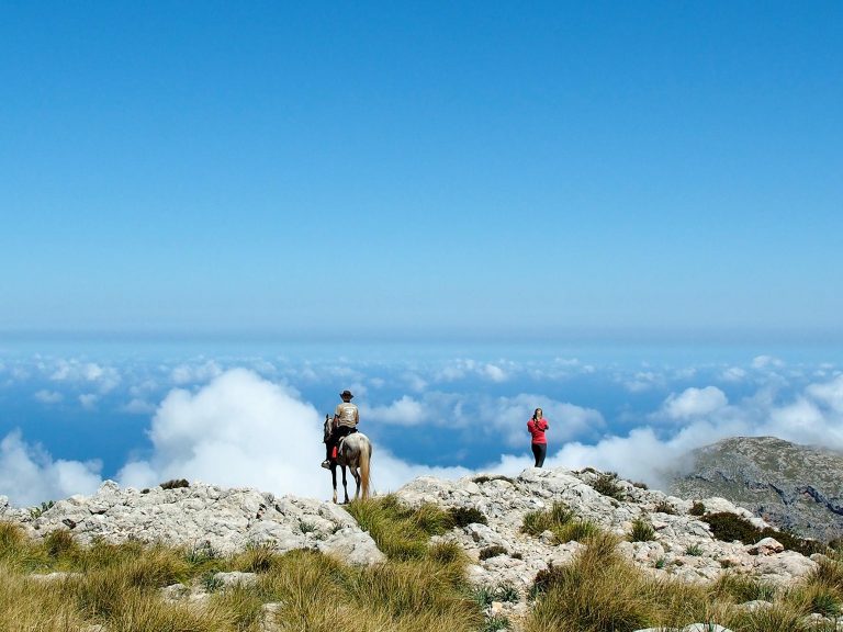 Wanderreiten im Herbst: Auszeit im Sattel