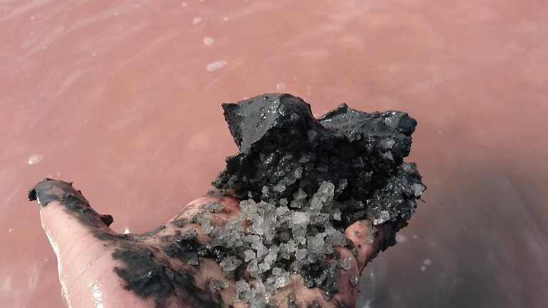 Schwarzes Gold der Ukraine