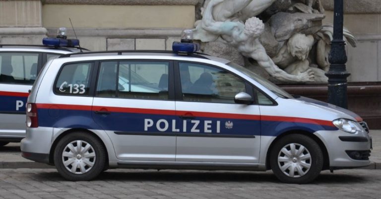 100 Prozent im Besitz des Staates „Wiener Zeitung“-Journalistin wollte Polizistin beißen und Abschiebung verhindern