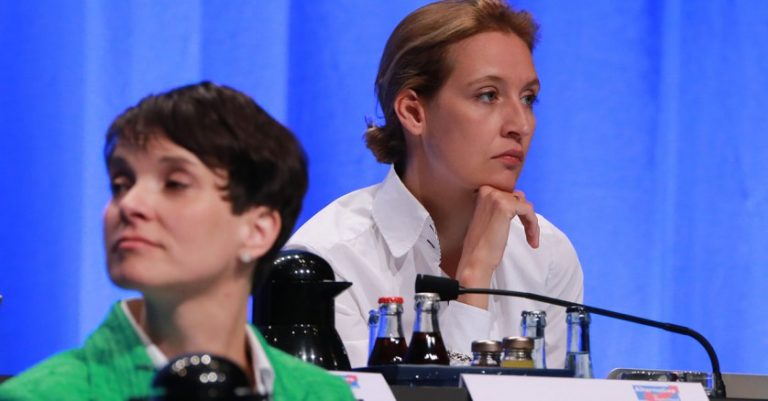 Experten-Analyse: Mainstream-Medien planten Kampagne gegen AfD
