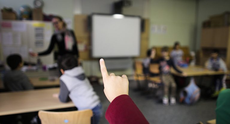 „Wollt ihr die totale Meinungsfreiheit?“ – Die Volkslehrer gehen auf die Barrikaden