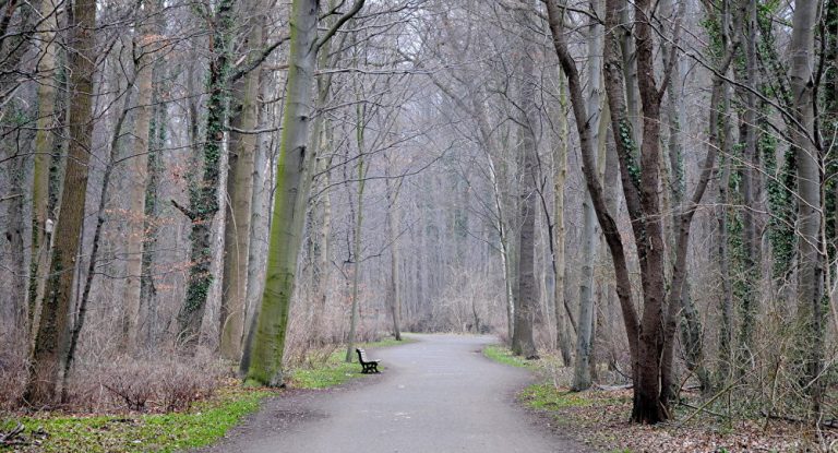Schockierende Tat in Hannover: Junge Frau in der Öffentlichkeit mehrfach missbraucht