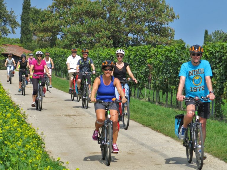 Radurlaube, Fahrradreisen und E-Bike Ausflüge in der Pfalz