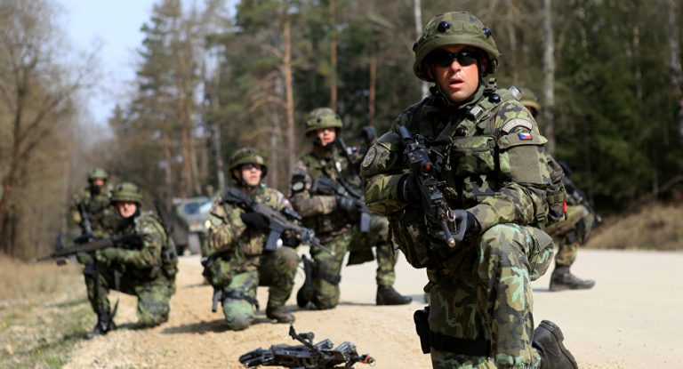 Schoigu entdeckt 10.000-köpfige Nato-Angriffstruppe vor Russlands Grenze
