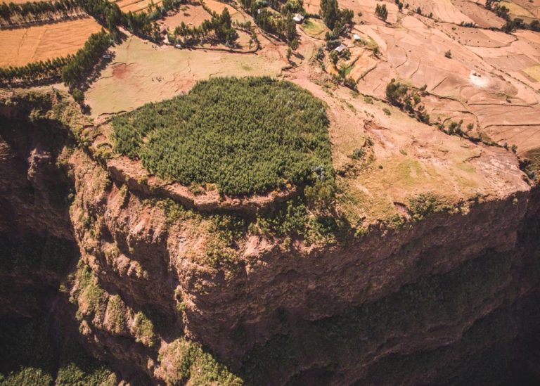 Menschen für Menschen: Ein Wald für Äthiopien