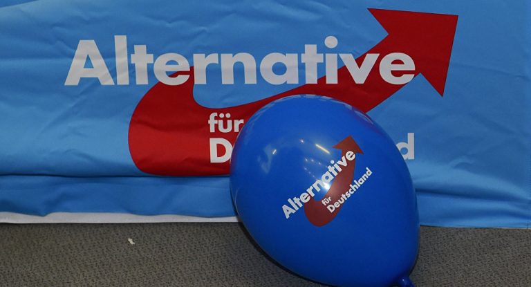 AfD im Landtag Potsdam von BILD-Journalist genervt – Kollegen zeigen Solidarität