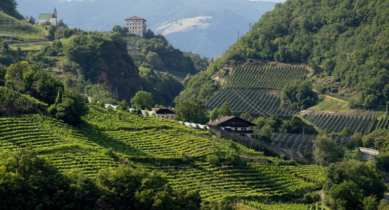 Italien entsetzt über Österreichs Staatsbürgerschaftspläne für Südtiroler