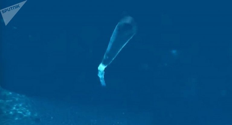 Jagd nach dem „Poseidon“: U-Wasser-Netzwerk soll Russlands Superwaffe stoppen