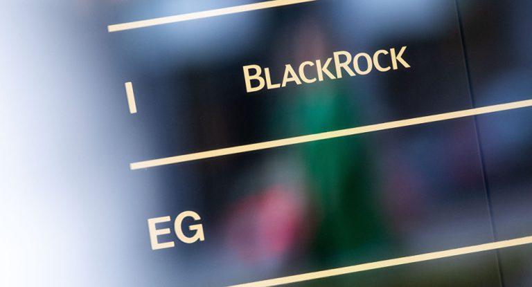 Blackrock, Merz und Co: Wie ein US-Finanzunternehmen Deutschland ausplündert