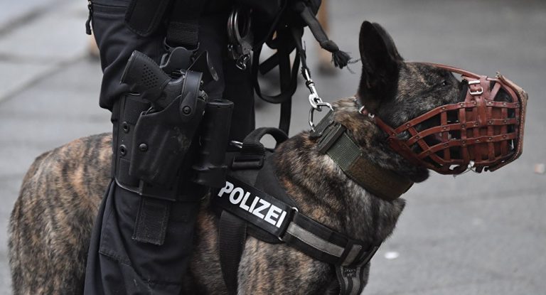 Neue Suche nach Rebecca an See in Ost-Brandenburg