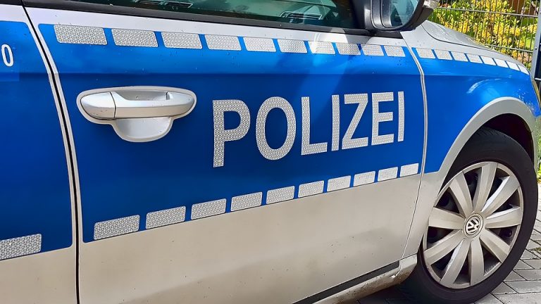 Afrikaner terrorisieren weiter Donauwörth