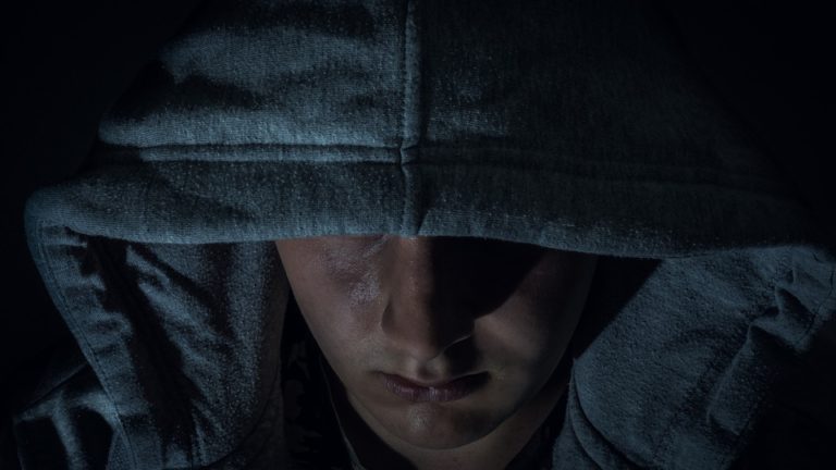 Islamexperte: SPD-Länder und Juristen sind schuld an der Ausbreitung krimineller Clans