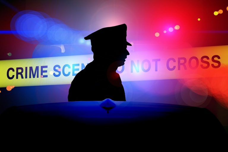 Für einige Asylzuwanderer ist Deutschland erobertes Terrain und Polizisten Todfeinde