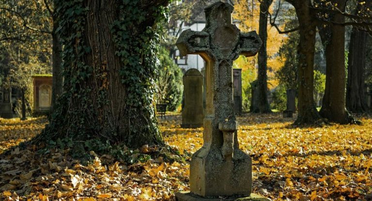 Bürger in Bezirk Kreuzberg empört: Flüchtlingsunterkunft soll auf Friedhofsgelände kommen – Video