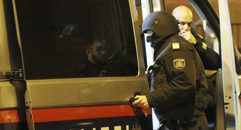 Russland und Österreich verstärken Zusammenarbeit bei Terrorismusbekämpfung – Botschafter