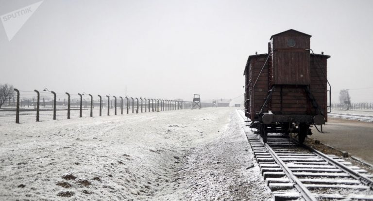 Vernichtung in Auschwitz: Staatsverbrechen und logistisches Mordunternehmen
