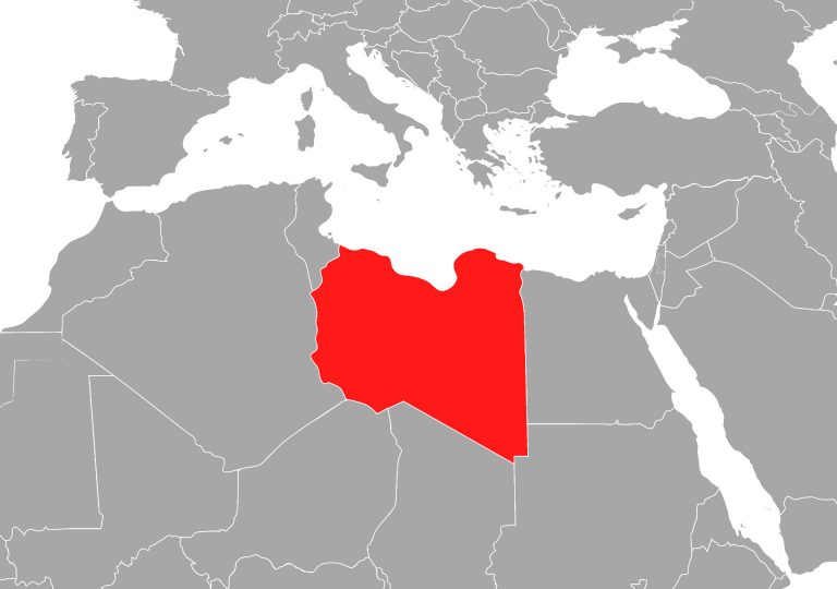 Grüne kritisieren Rüstungs-Exporte an Libyen-Konflikt-Teilnehmer