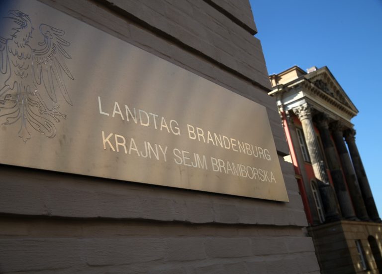 Doppelmandat in der Kritik – Linke fordert Gesetzesänderung