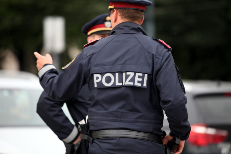 Protest gegen Corona-Regeln: Mehrere Festnahmen in Wiener Neustadt und Tulln