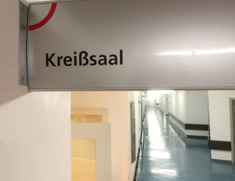 Immer mehr Kinder als „Schutzsuchende“ in Deutschland geboren