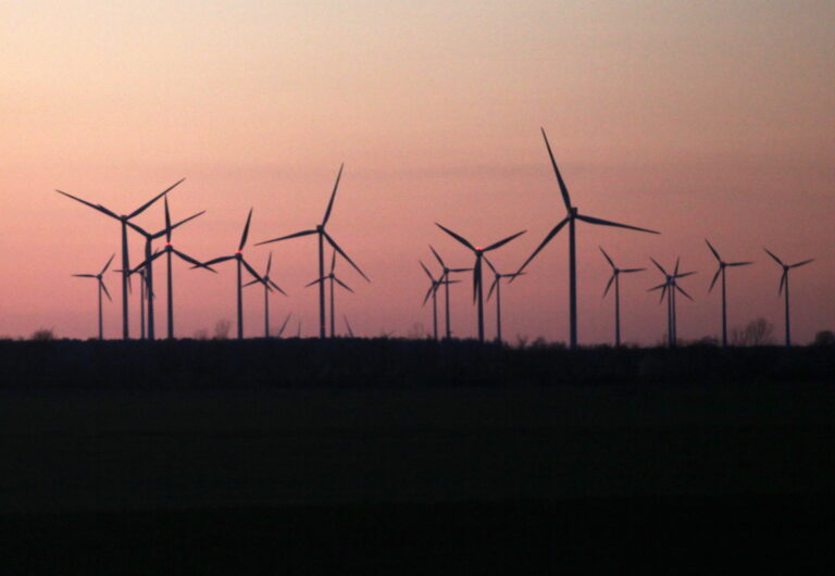Entwicklungsminister fordert „weltweiten Green Deal“