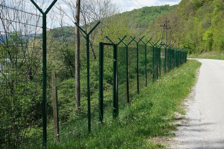 Bericht: Deutsche Behörden ermitteln gegen Lukaschenko wegen Migranten-Zustroms