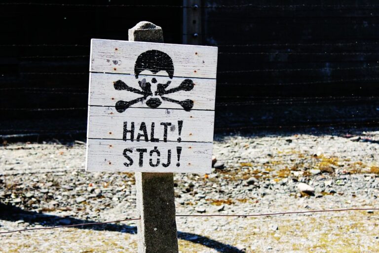 „Migrationserpressung durch Lukaschenko und Putin“: Polens Premier begründet Bau von Grenzzaun