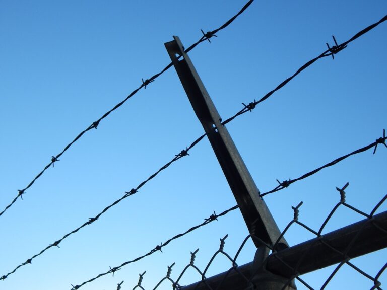 Polnischer Soldat spricht über Tötung von Flüchtlingshelfern an Grenze zu Belarus