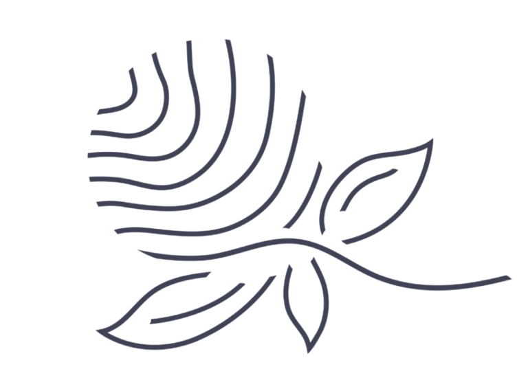 Individual Beauty – Individuelle High-End-Behandlungen in Wien